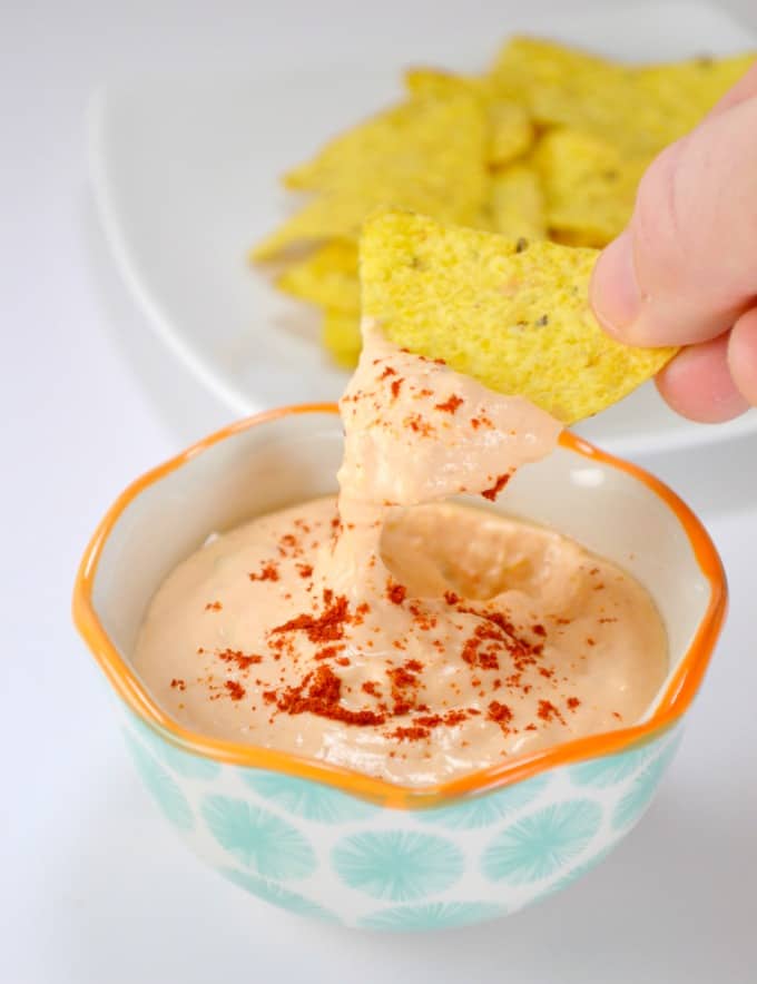 Creamy Queso Cheese Dip Build Your Bite