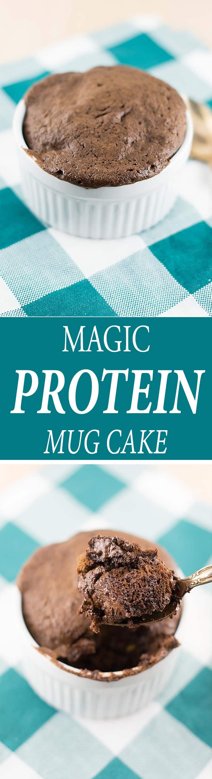 Chocolate Protein Mug Cake Recipe Gluten Free Flourless chocolate-protein-mug-cake-recipe-gluten-free-flourless