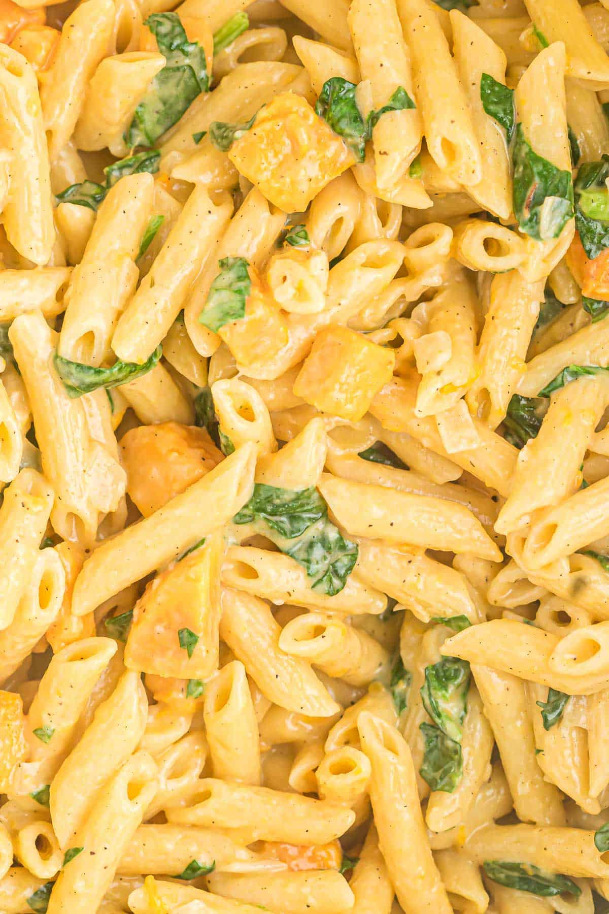 sweet potato pasta with spinach