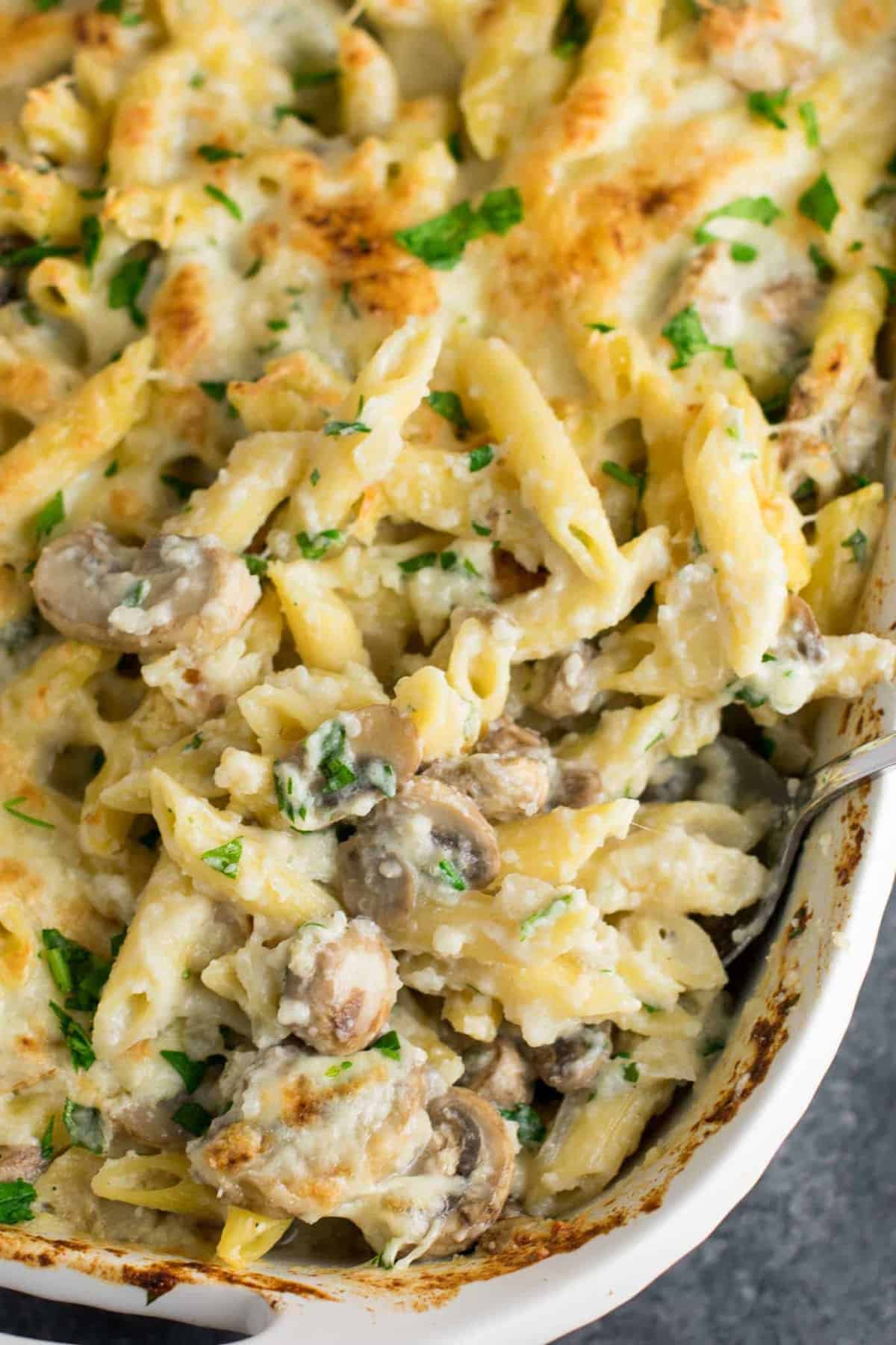 Mushroom Cauliflower Alfredo Pasta Bake Build Your Bite