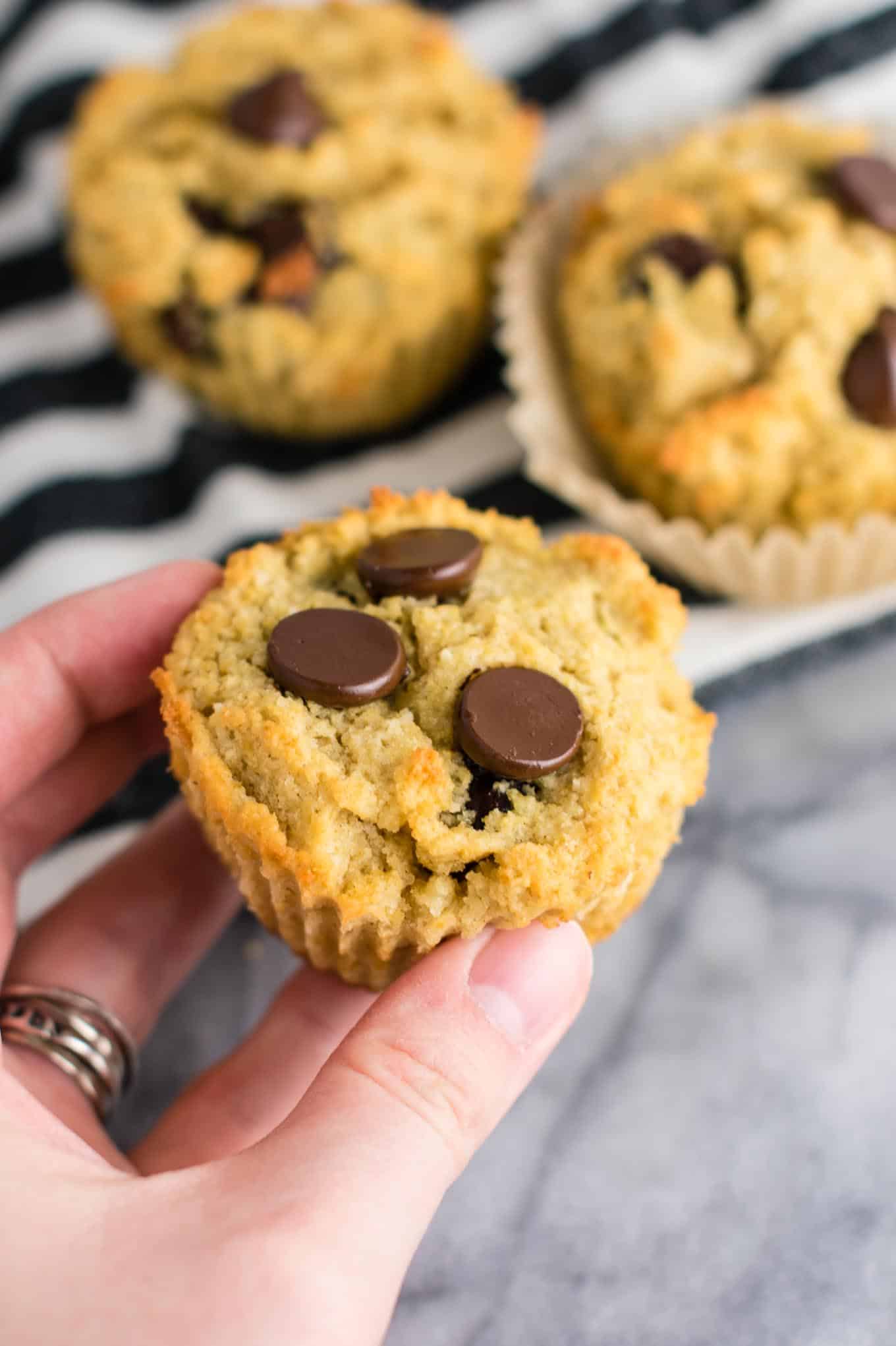 milk free chocolate chip muffins