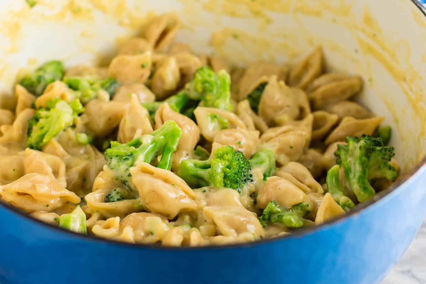 Lightened up broccoli shells and cheese with sharp cheddar cheese and whole wheat pasta. The healthiest way to justify eating macaroni and cheese for dinner. Kids will love this one! #broccolishellsandcheese #macandcheese #healthy #dinner #vegetarian #meatless #pasta #wholewheat