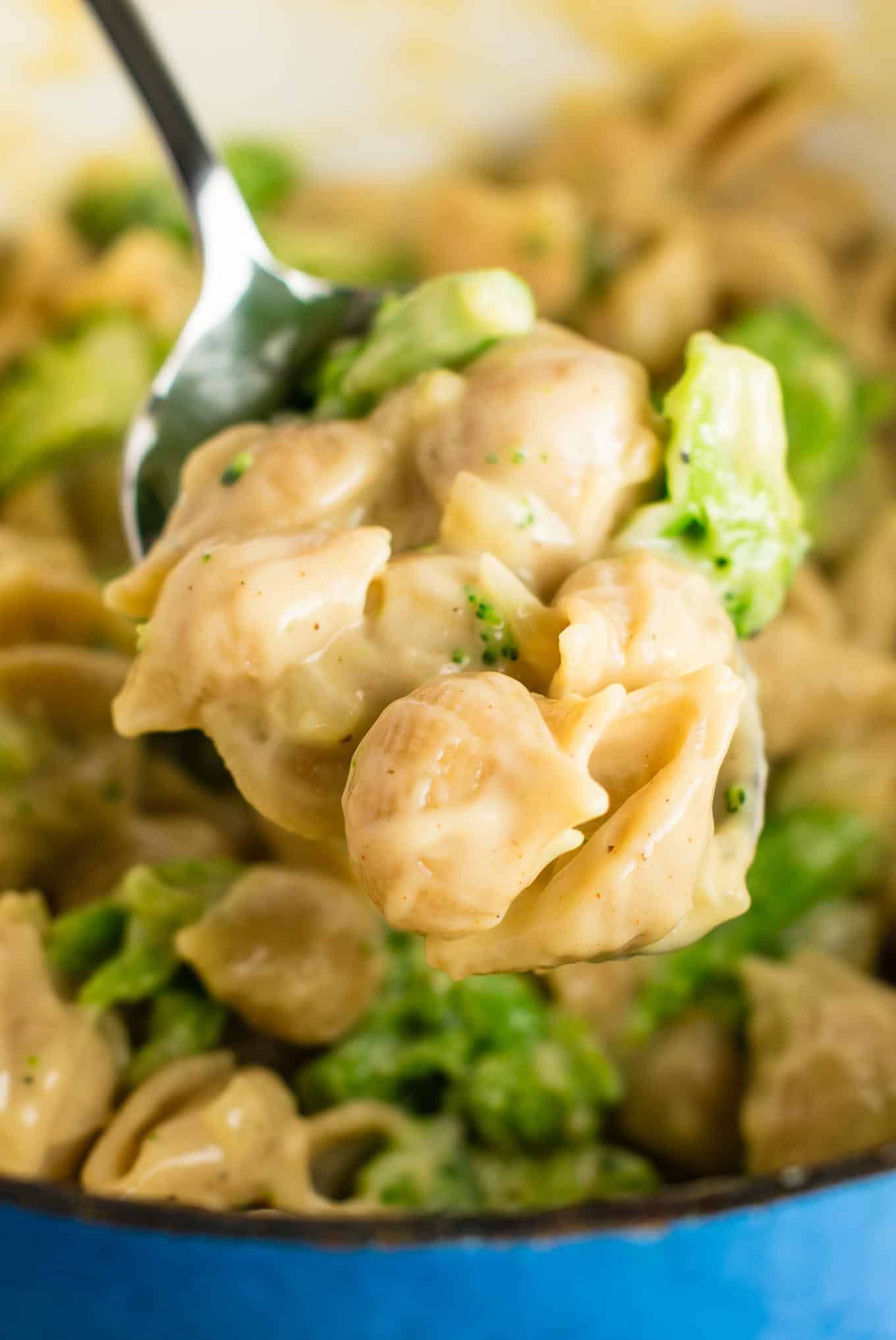 Lightened up broccoli mac and cheese with sharp cheddar cheese and whole wheat pasta. The healthiest way to justify eating macaroni and cheese for dinner. Kids will love this one! #broccolishellsandcheese #macandcheese #healthy #dinner #vegetarian #meatless #pasta #wholewheat