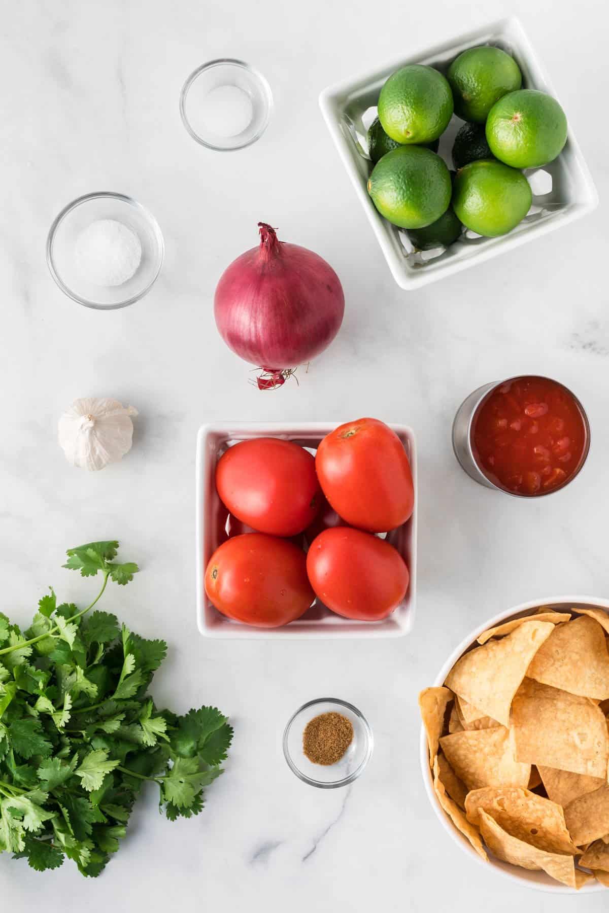 ingredients to make fresh homemade salsa