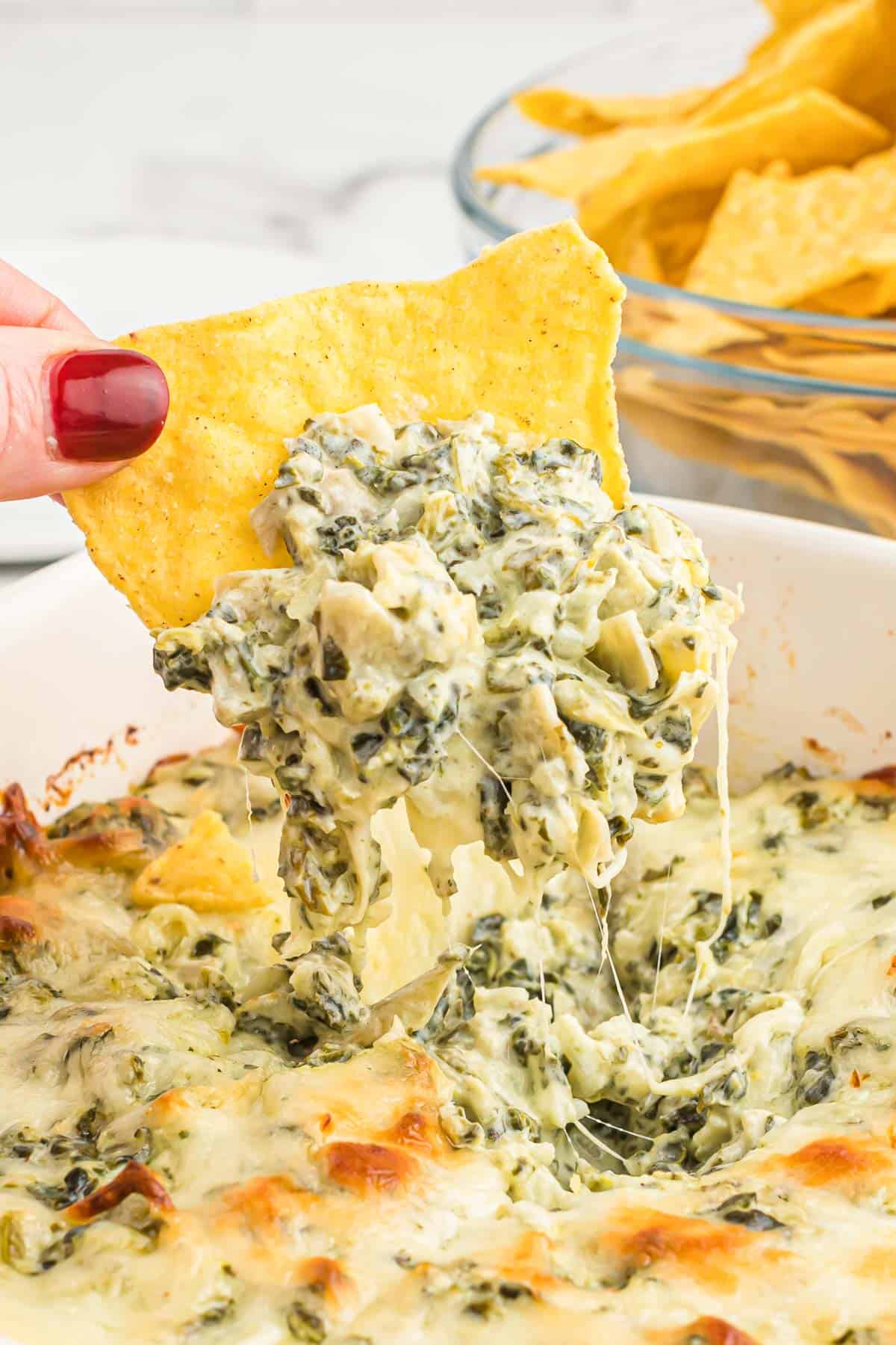 tortilla chip dipped in baked spinach artichoke dip