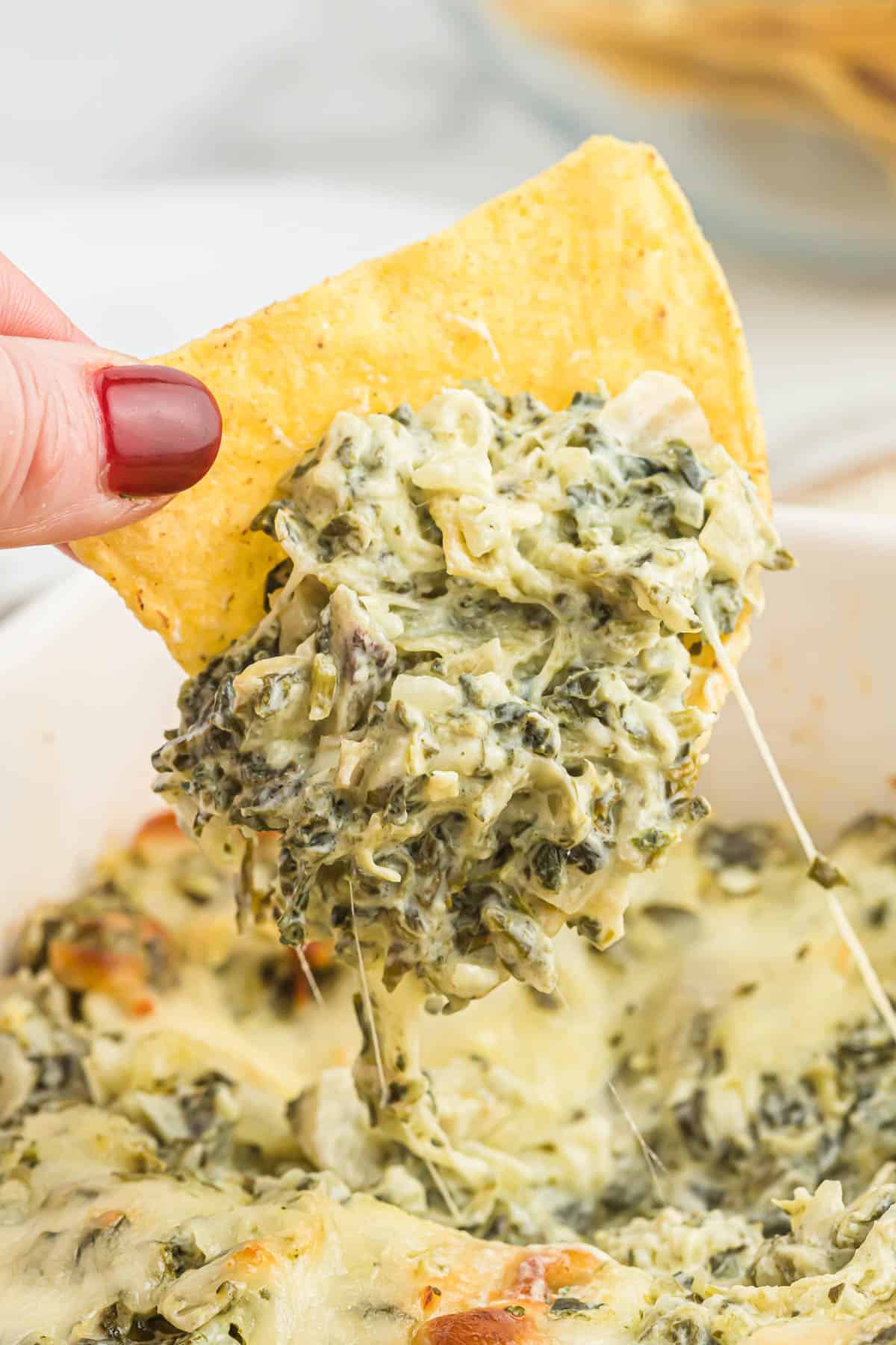 tortilla chip dipped in baked spinach artichoke dip