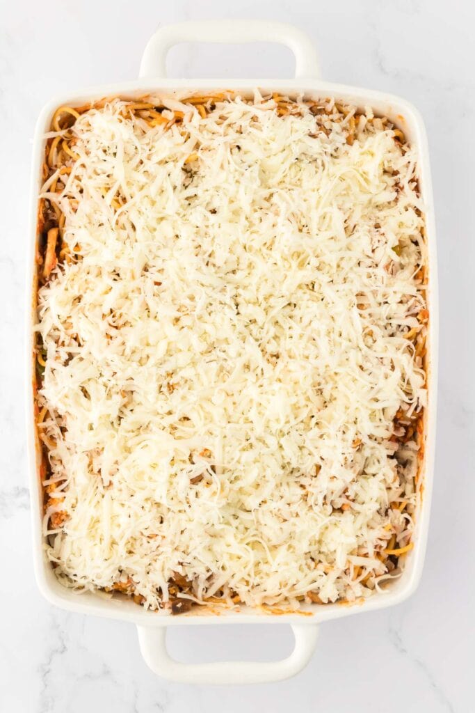 spaghetti topped with cheese