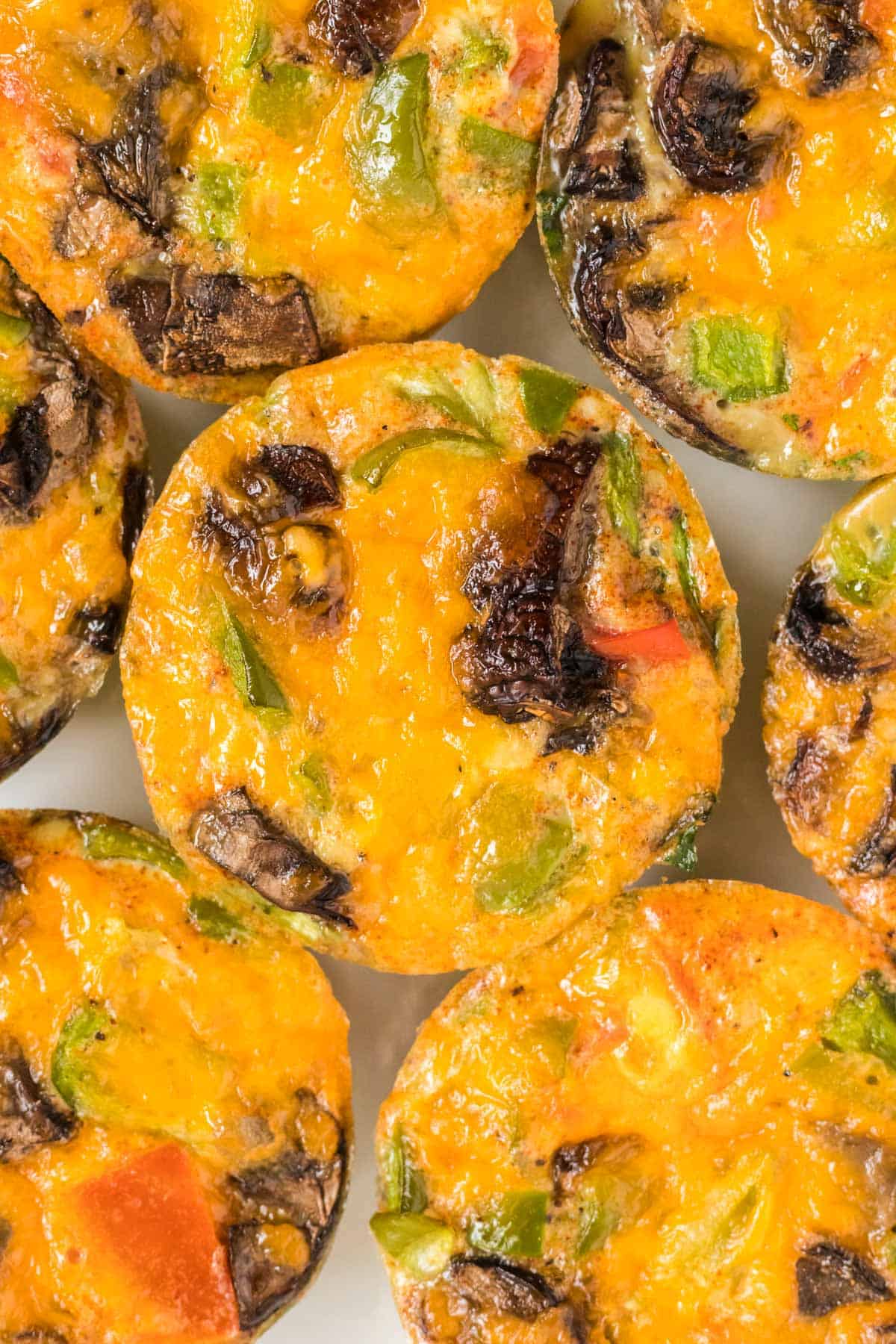 egg muffins