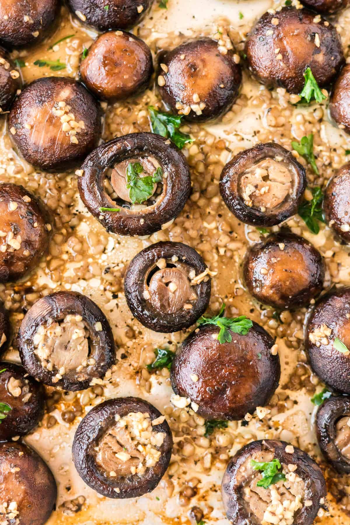 roasted garlic mushrooms on a baking sheet