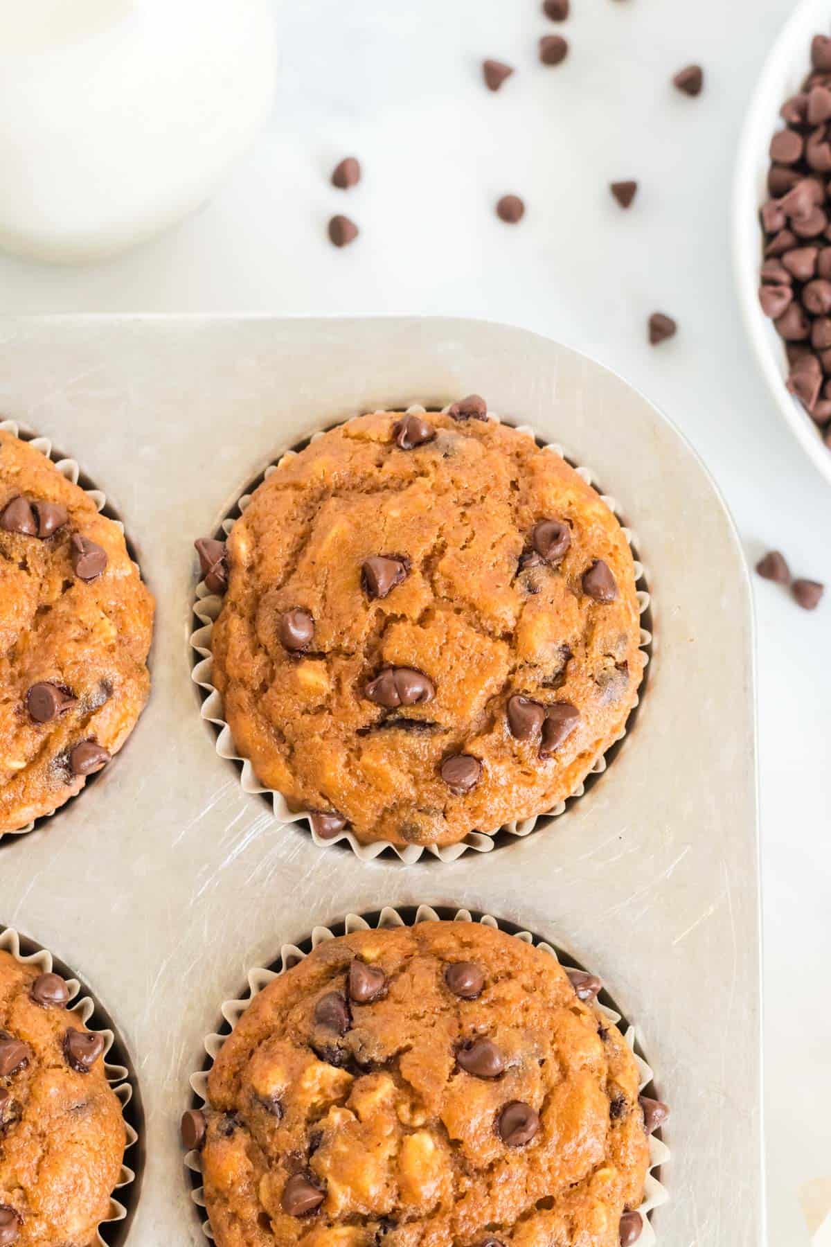 pumpkin chocolate chip muffin in the baking pan