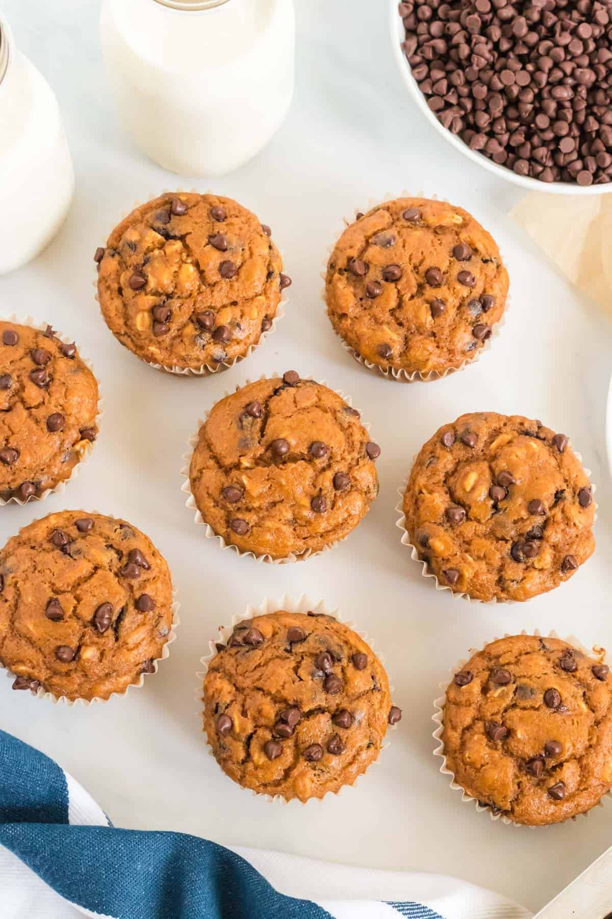 healthy pumpkin chocolate chip muffins