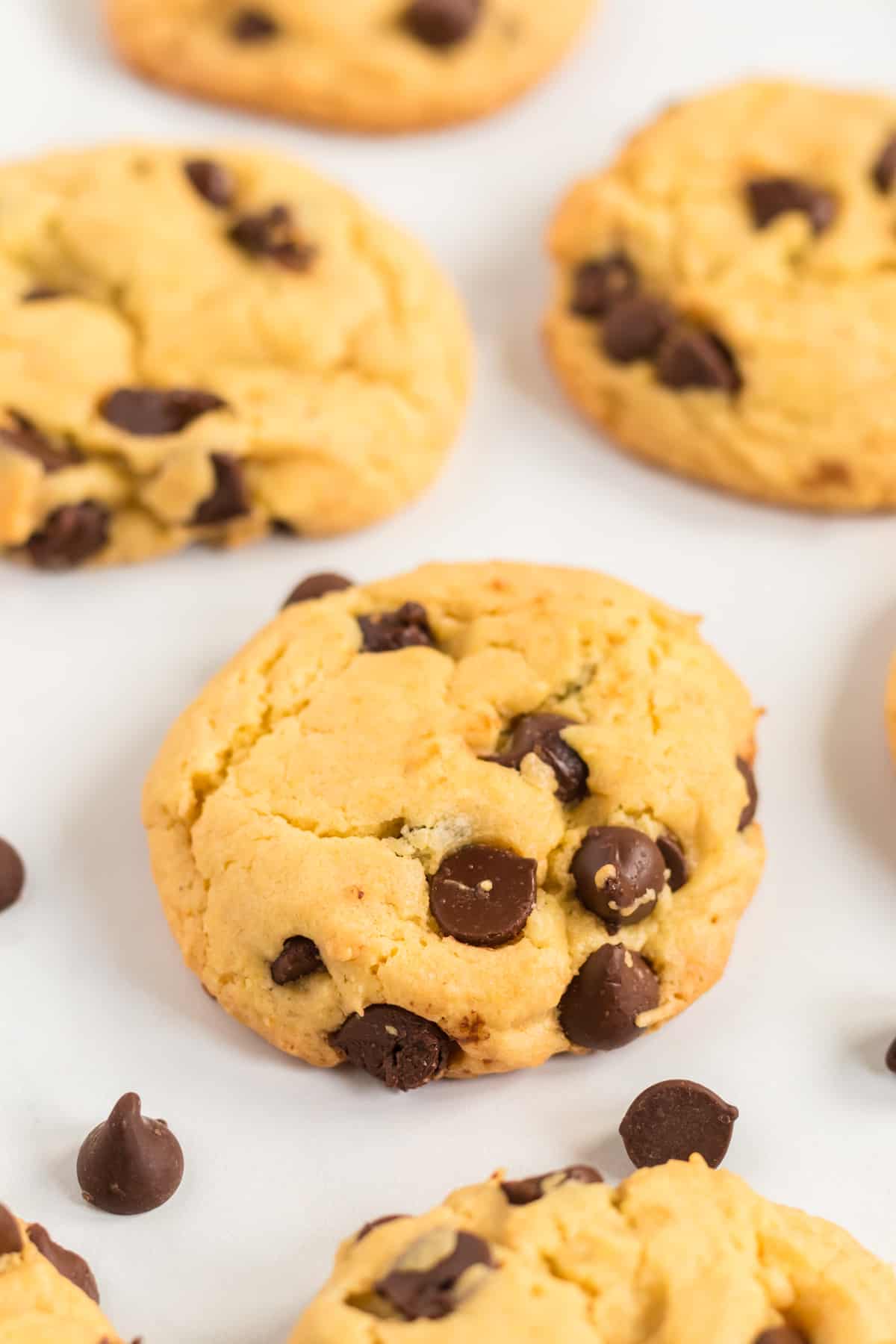 chocolate chip cookie on a white background