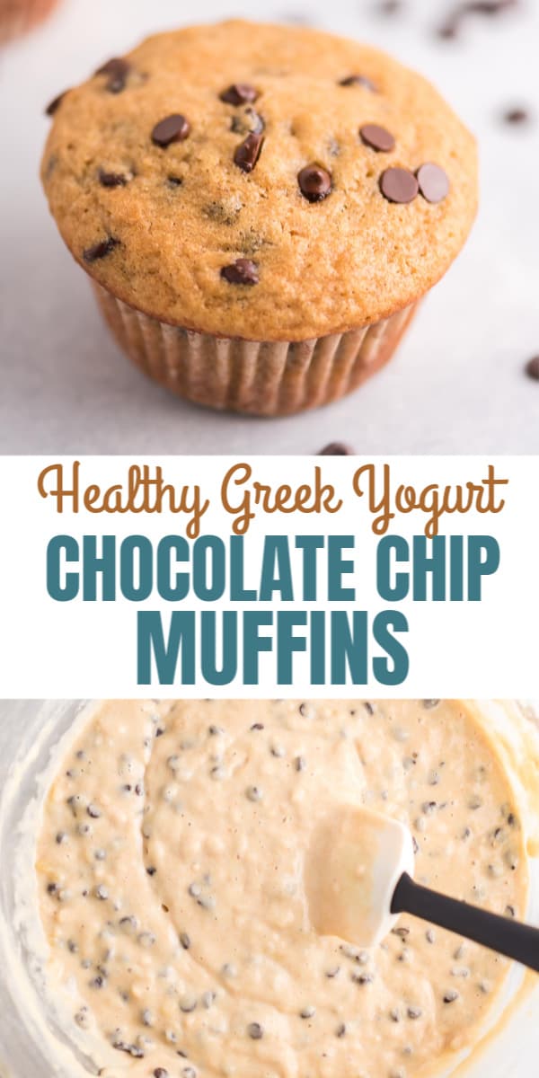 greek yogurt chocolate chip muffin
