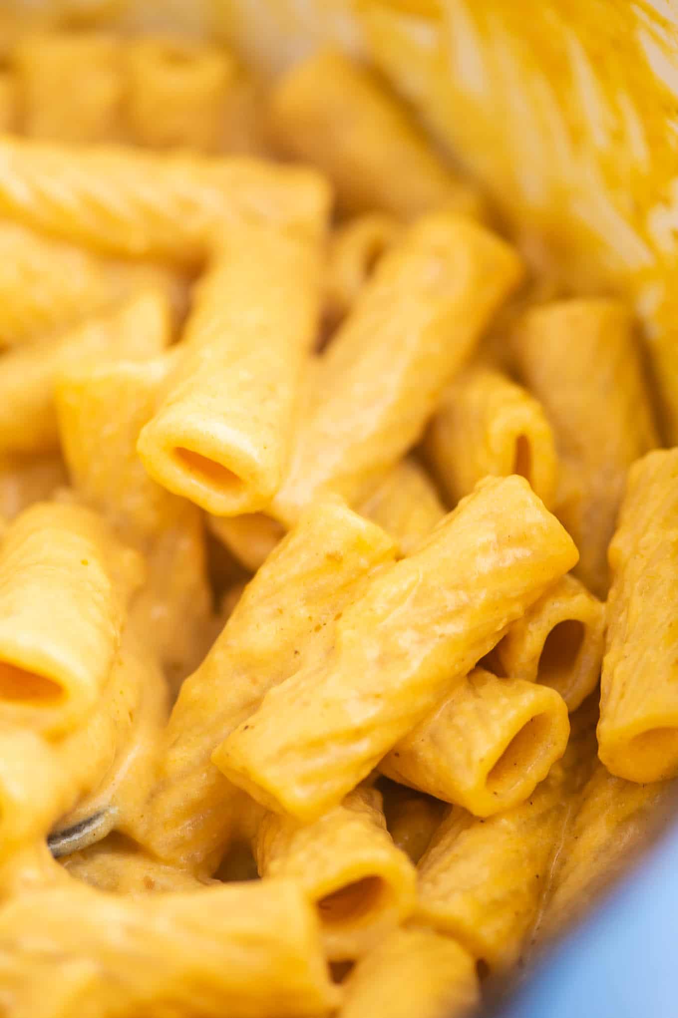 rigatoni coated in pumpkin pasta sauce