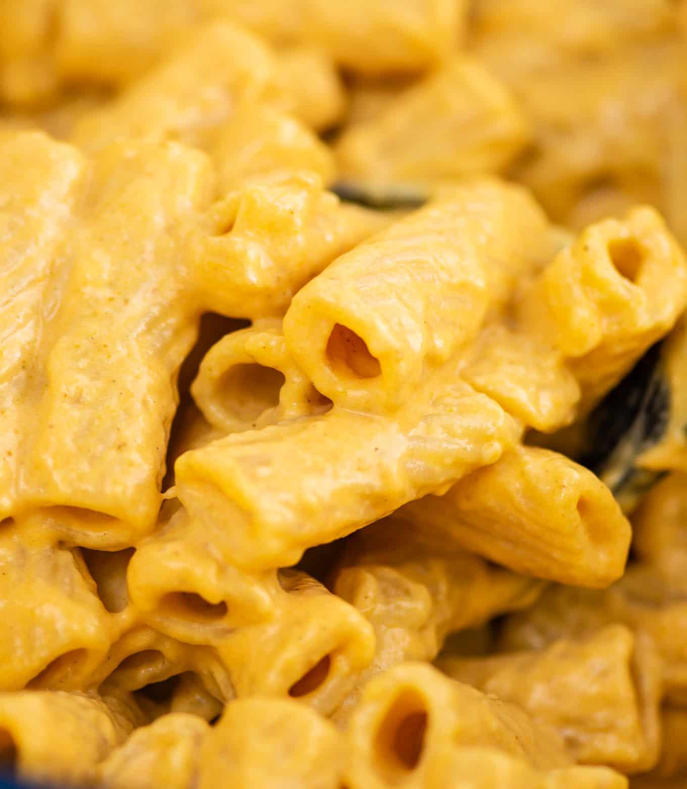 up close rigatoni with dripping pumpkin pasta sauce