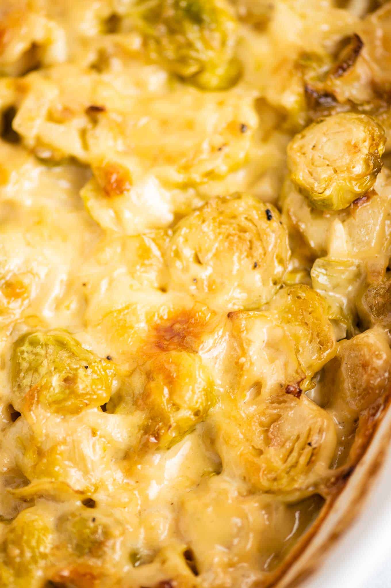 cheesy bubbling brussels sprouts