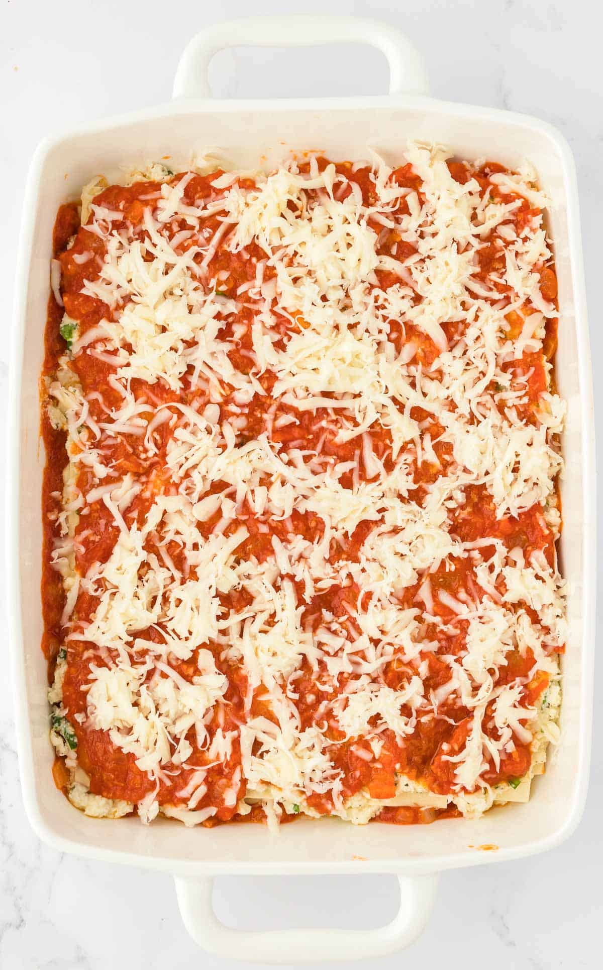 mozzarella cheese over sauce