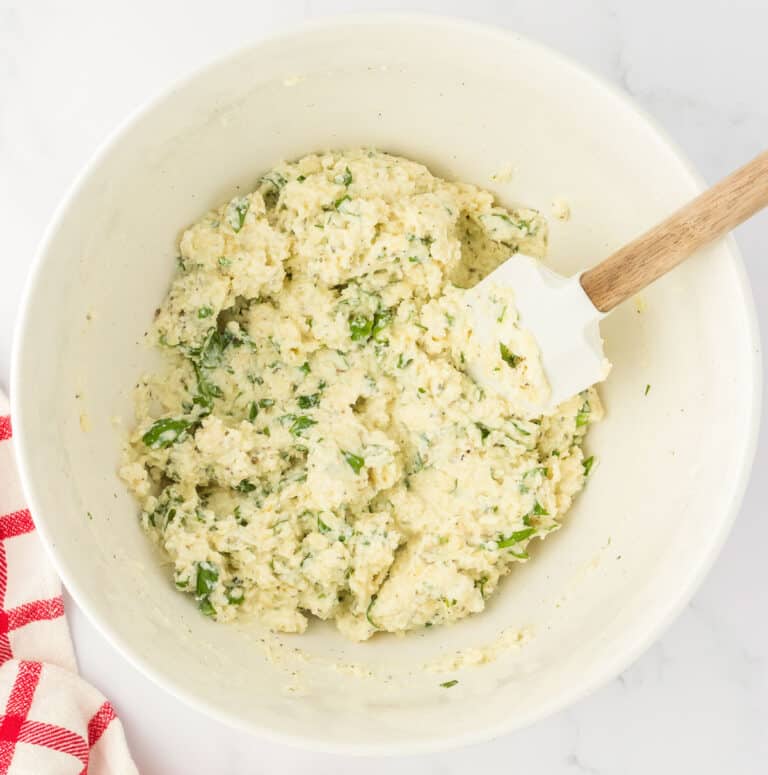 Cheese Lasagna with Ricotta Cheese Build Your Bite