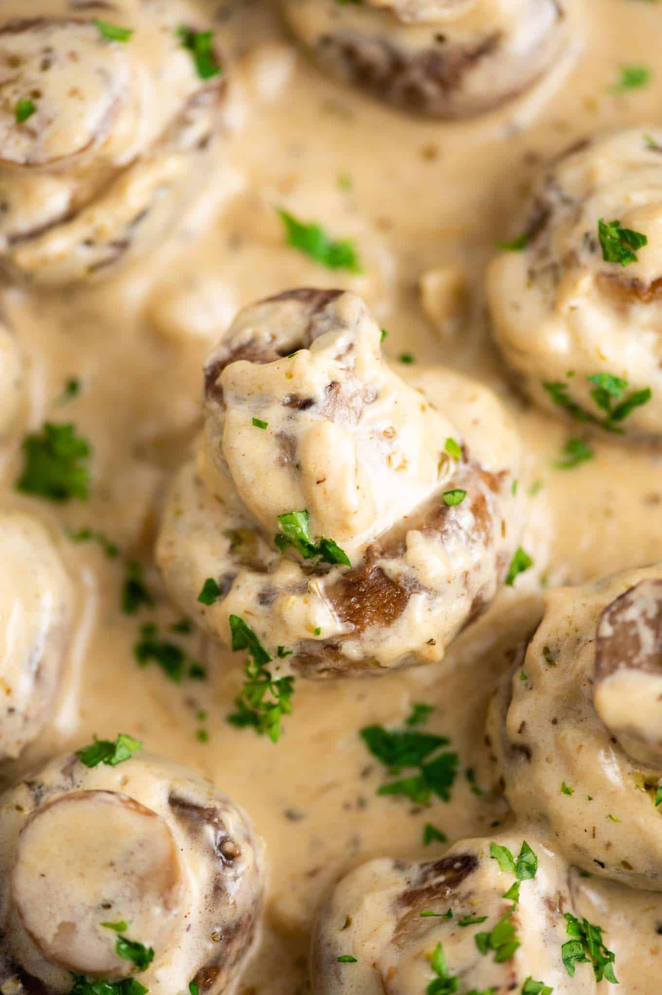 creamy garlic mushrooms up close in sauce