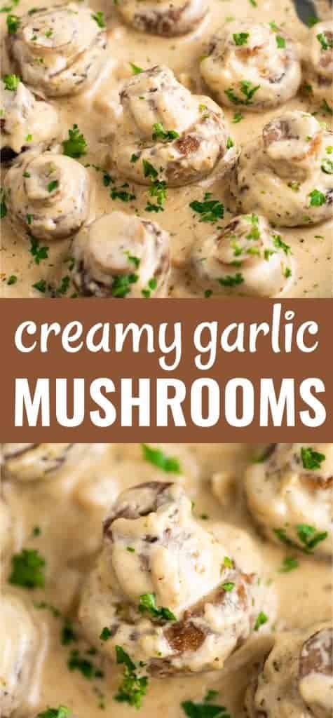 creamy mushrooms recipe