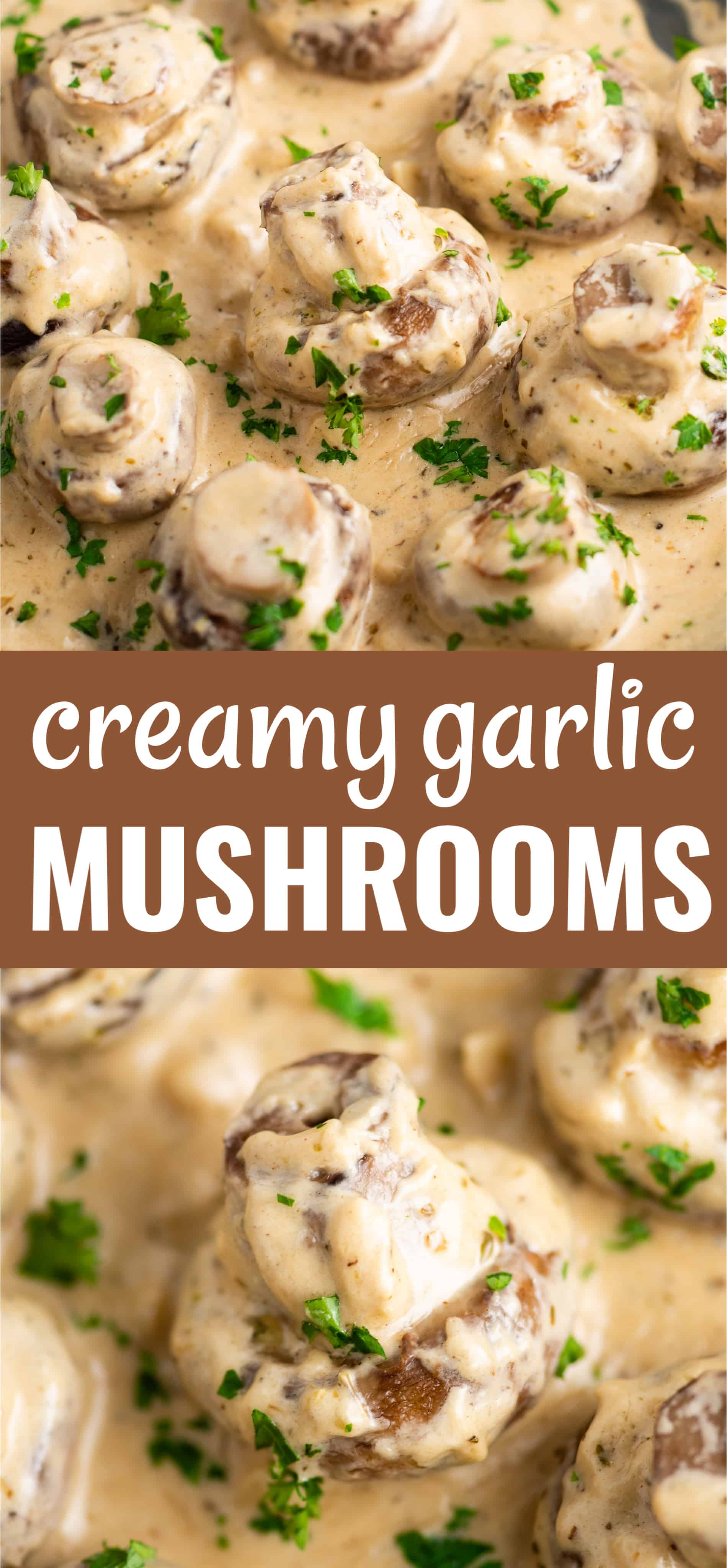 image of the mushrooms with the text "creamy garlic mushrooms" 