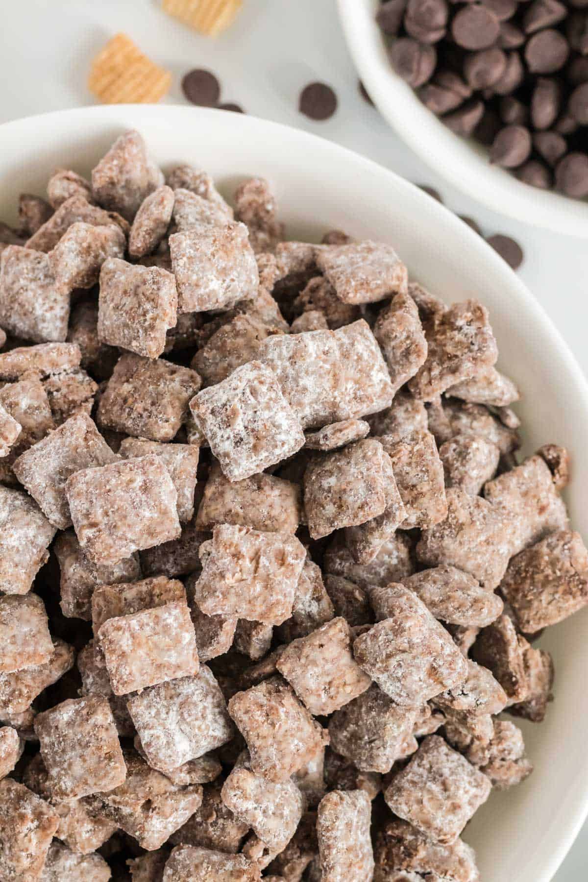 puppy chow in a bowl