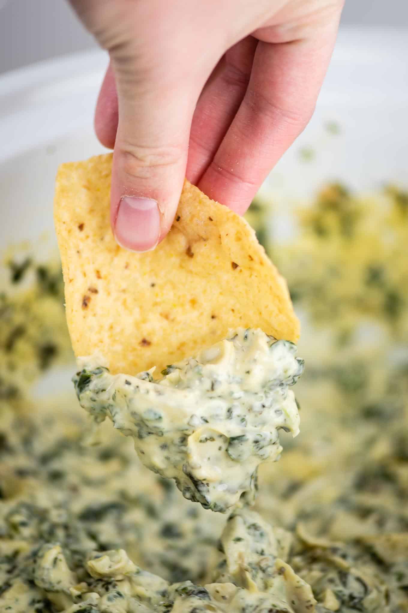 fingers holding a chip with slow cooker spinach artichoke dip on it