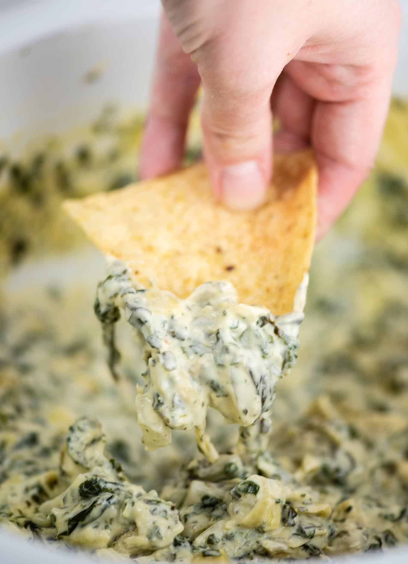 fingers holding a chip dipped in spinach artichoke dip