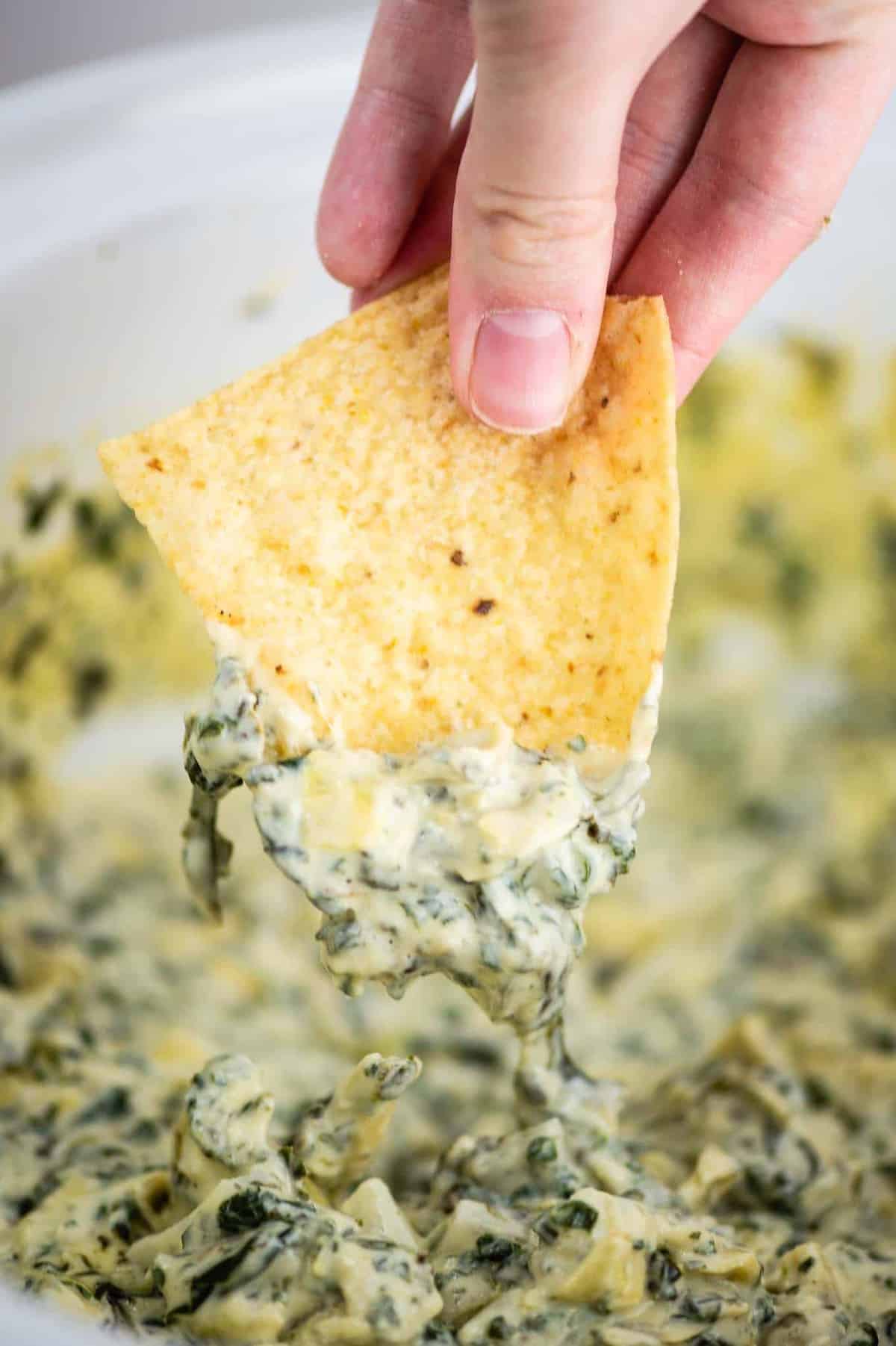 a chip being dipped into spinach artichoke dip