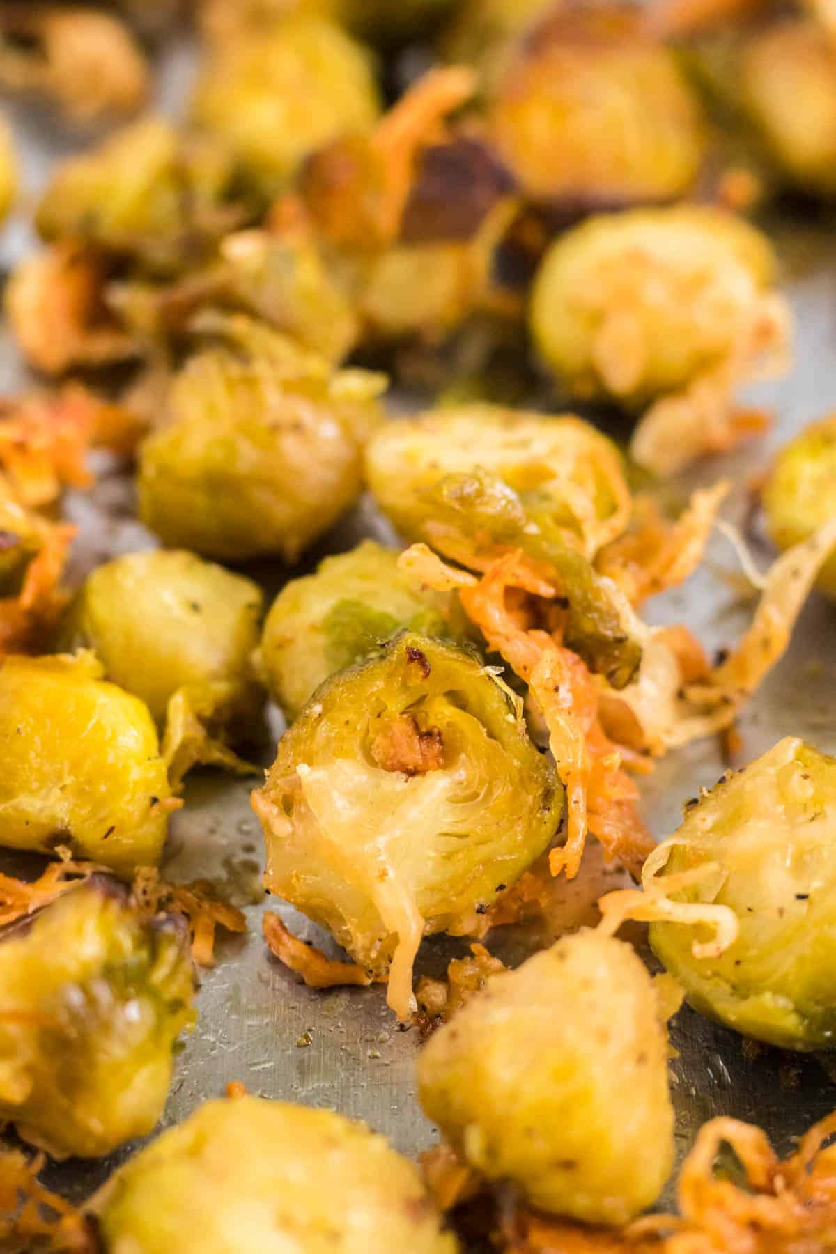 roasted brussel sprout with parmesan cheese