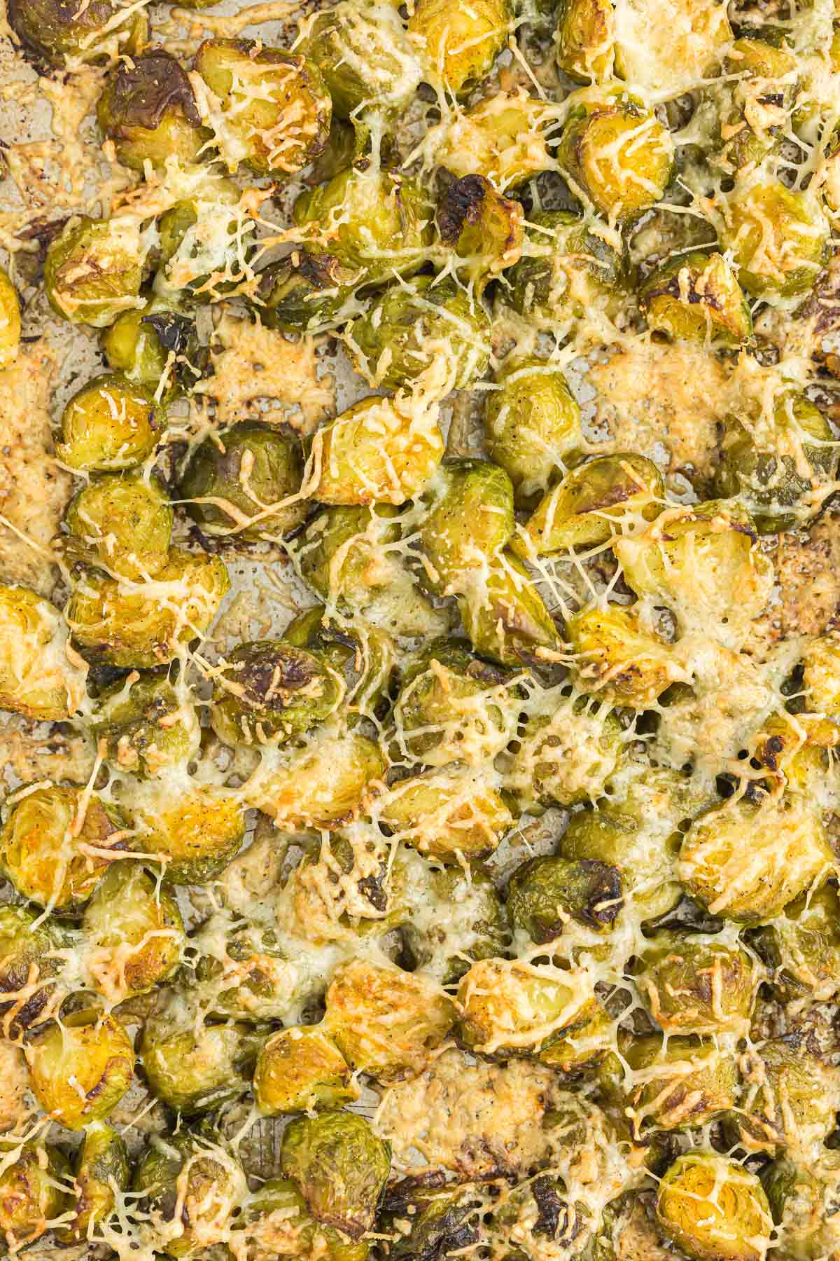 roasted frozen brussel sprouts with parmesan cheese