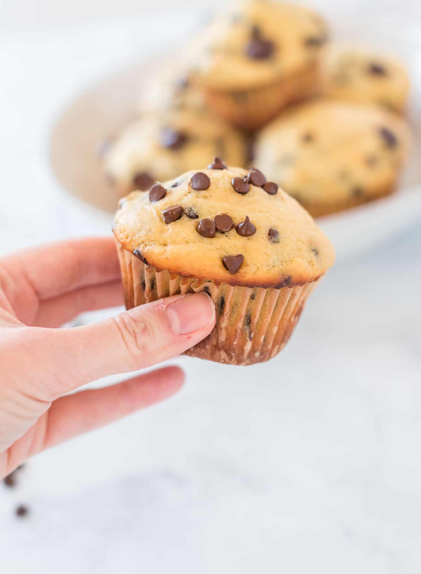 a hand holding a chocolate chip muffin