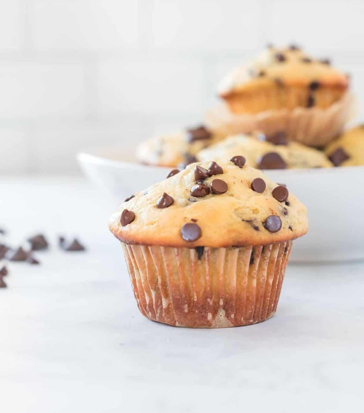 Greek Yogurt Chocolate Chip Muffins Recipe Build Your Bite