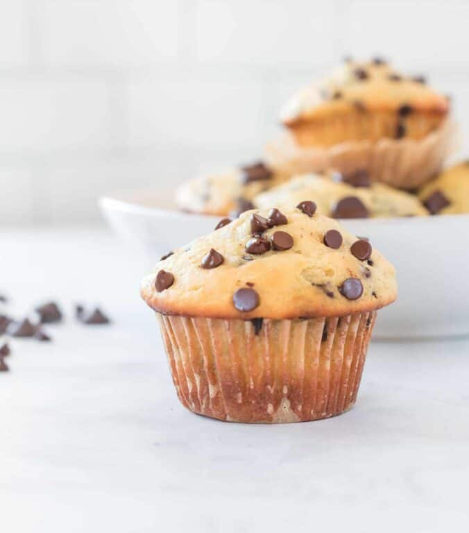 Greek Yogurt Chocolate Chip Muffins Recipe Build Your Bite