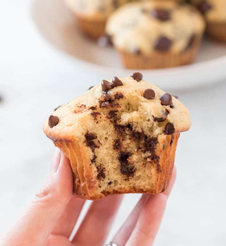 Greek Yogurt Chocolate Chip Muffins Recipe Build Your Bite