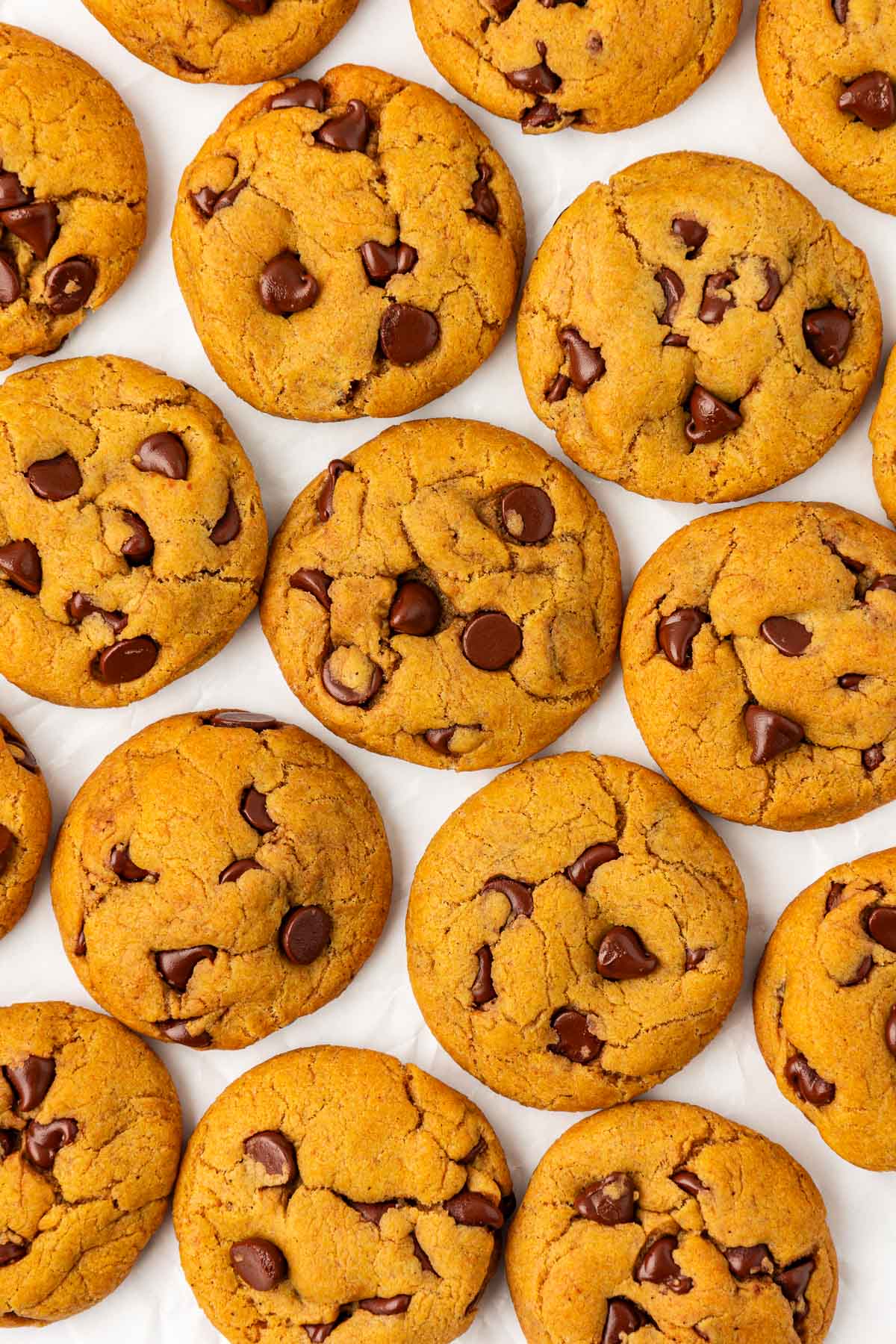 vegan pumpkin chocolate chip cookies