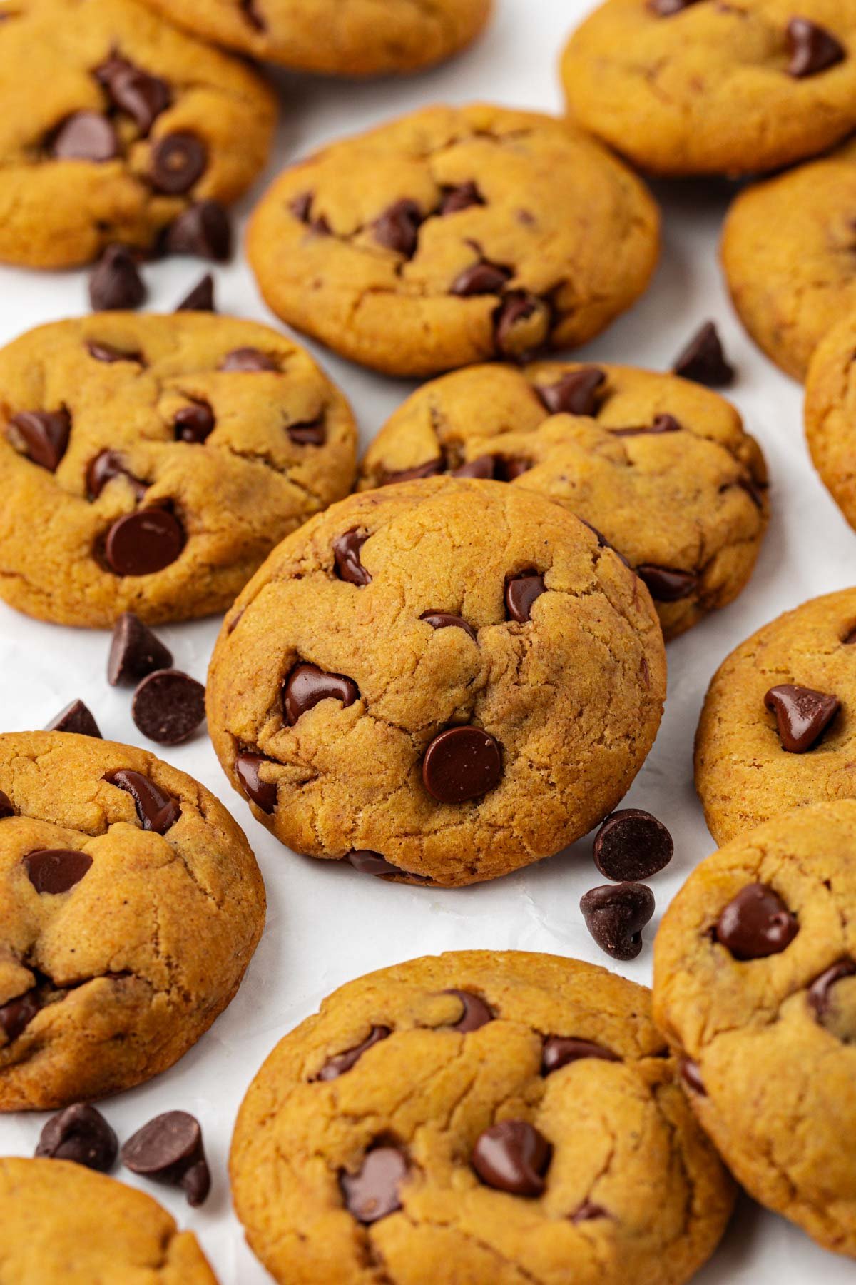 vegan pumpkin chocolate chip cookies