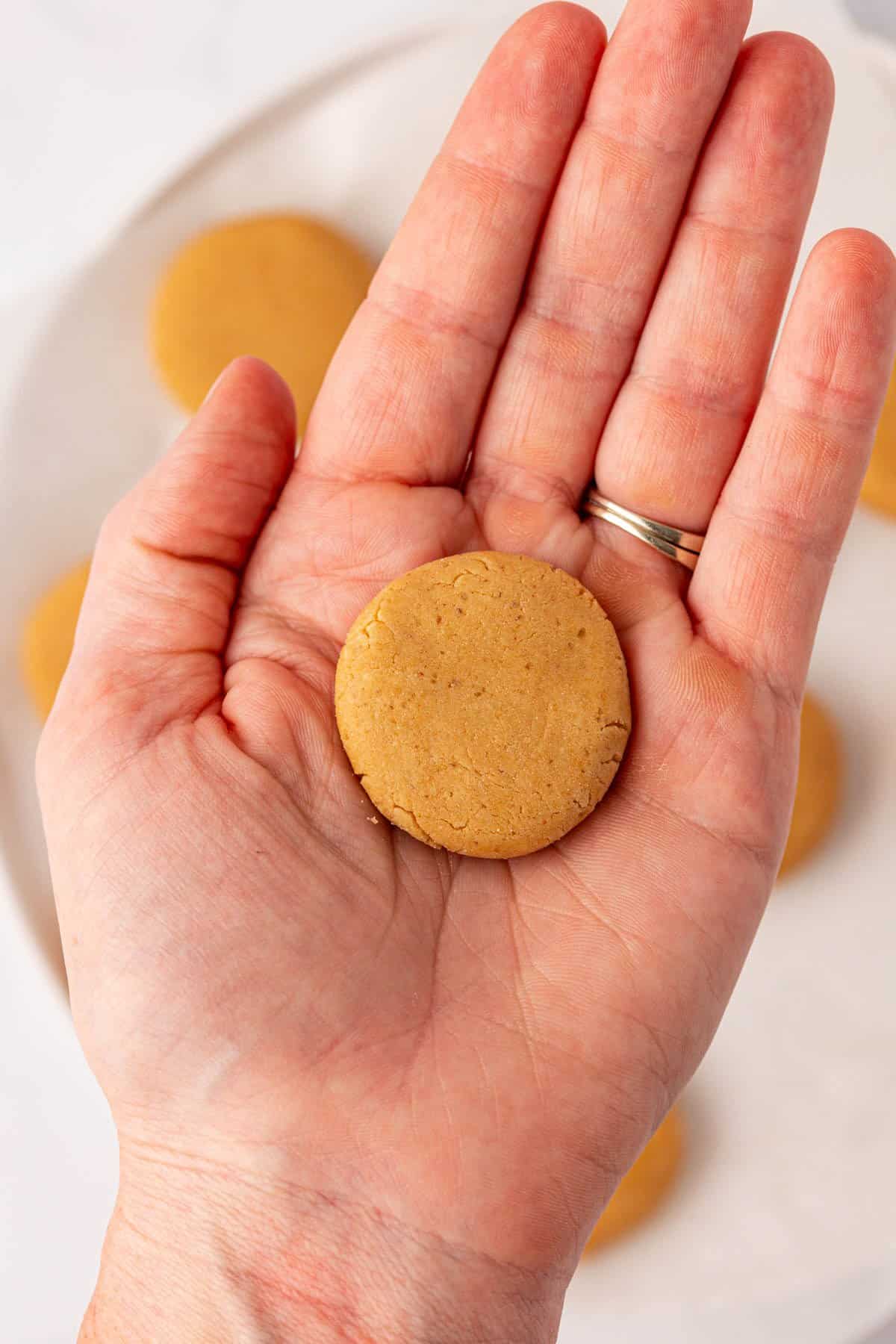 hand holding a peanut butter filling disc