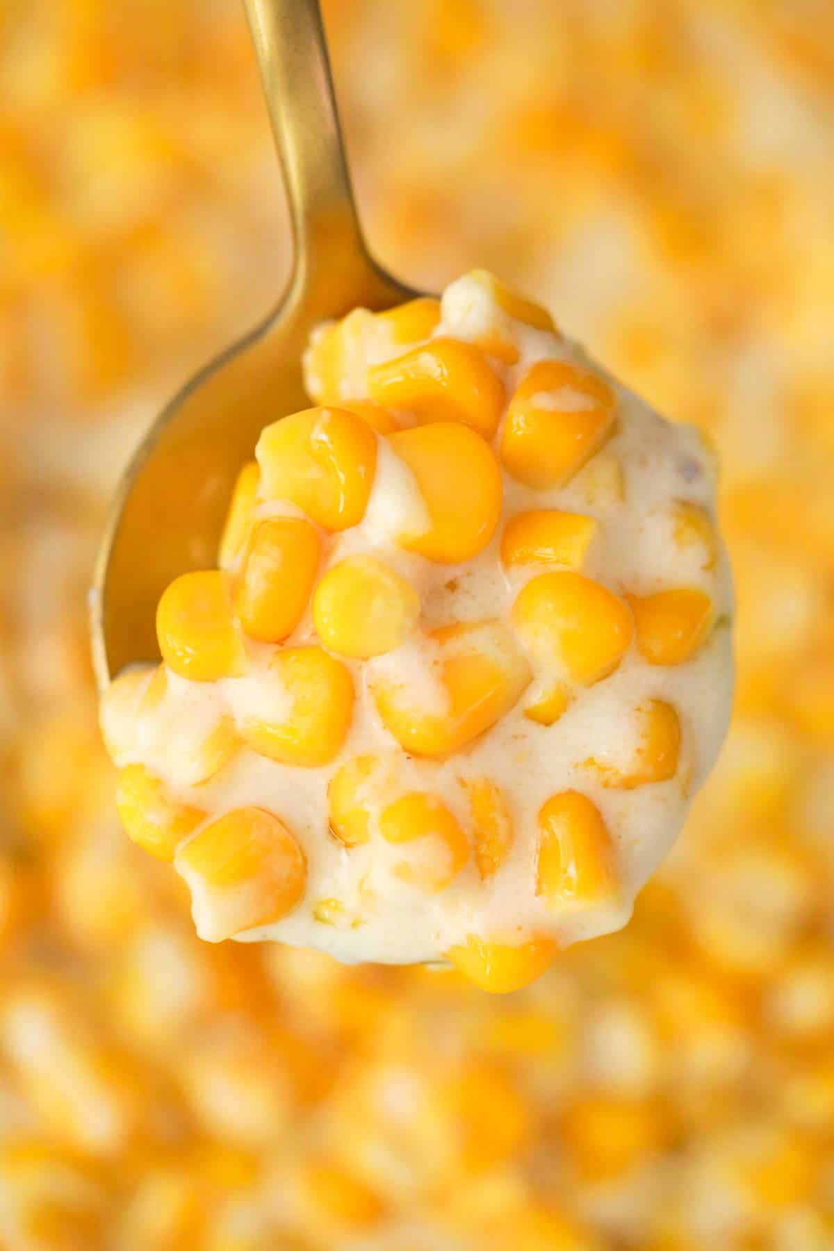 a spoon showing a scoop of creamed corn