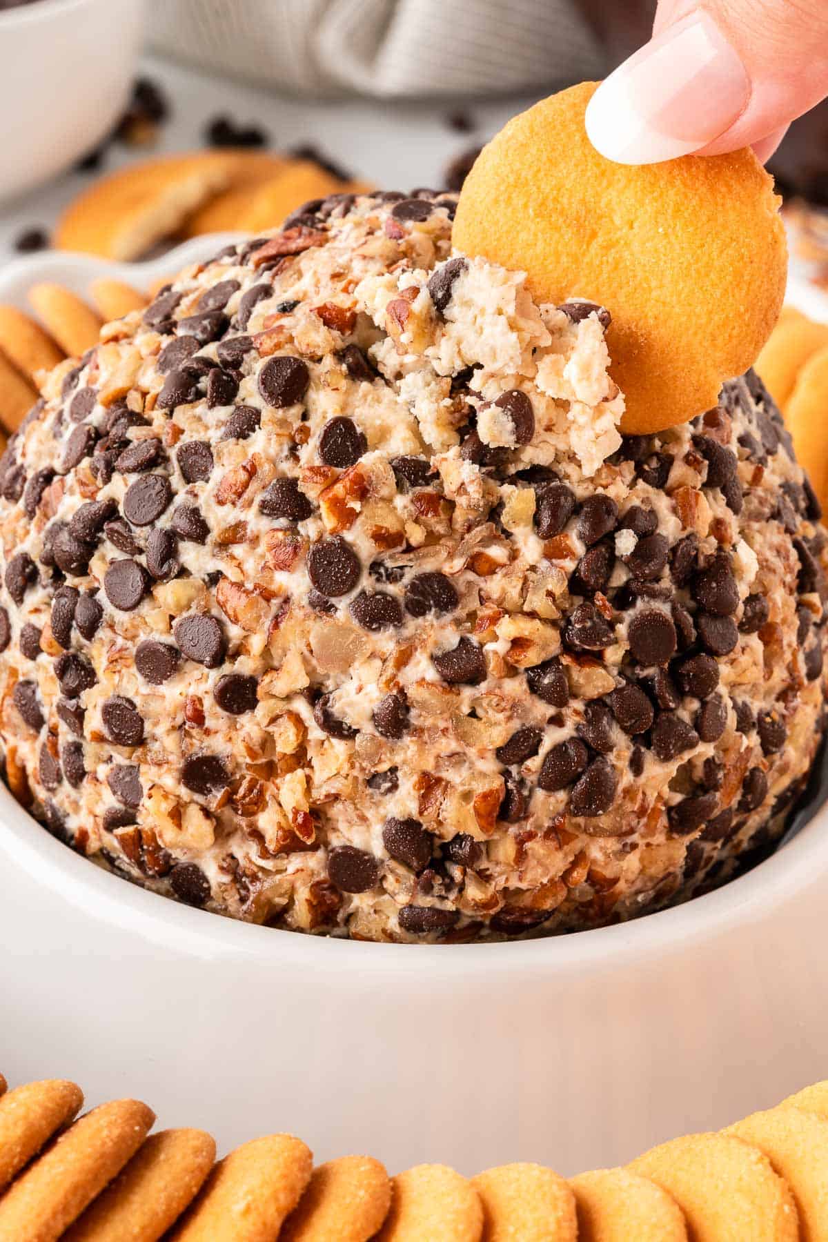 chocolate chip cheese ball with nilla wafers