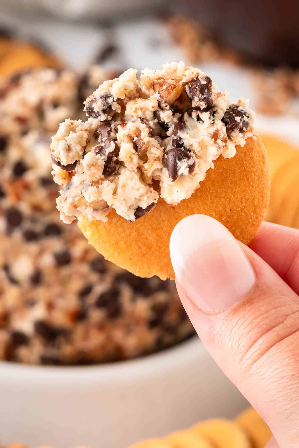 Chocolate Chip Cookie Dough Dip (or Cheeseball)