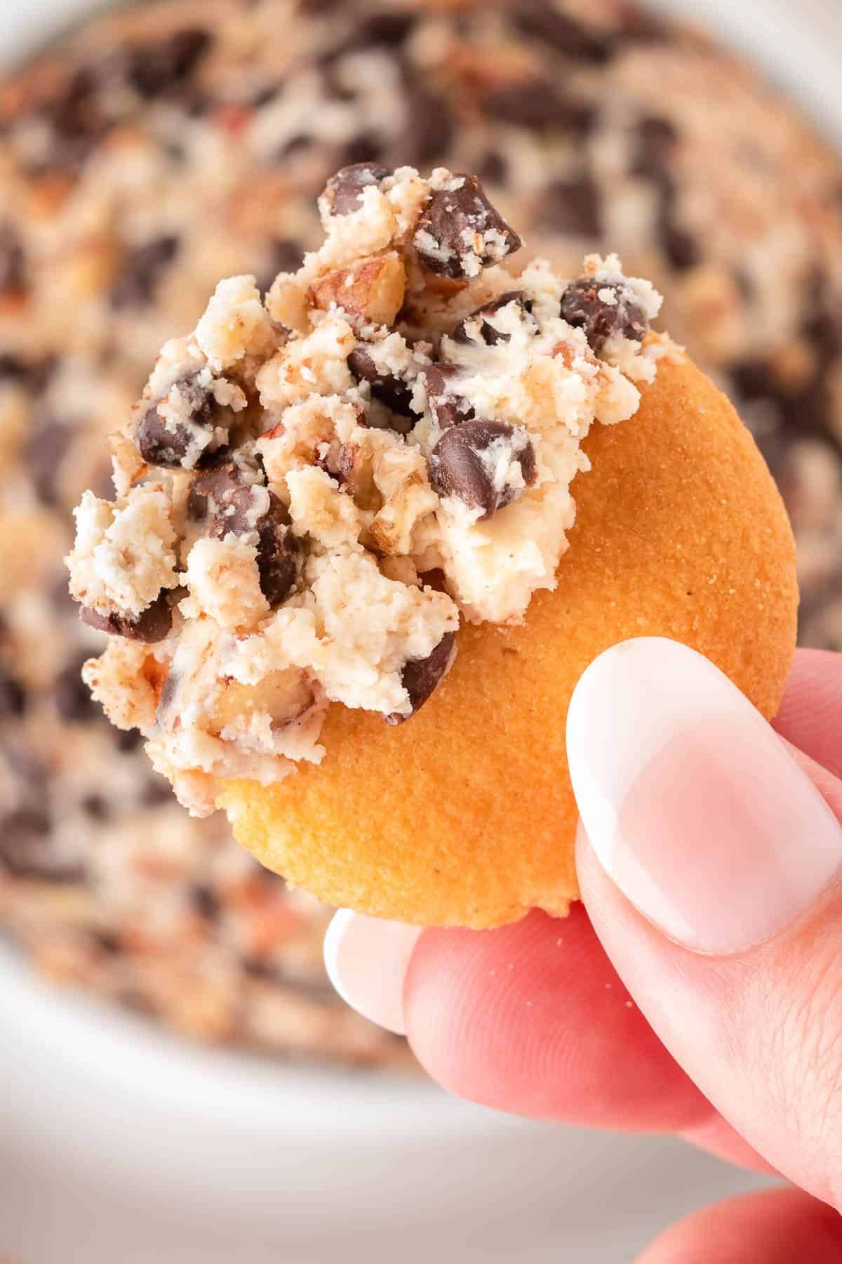 Chocolate Chip Cookie Dough Dip (or Cheeseball)