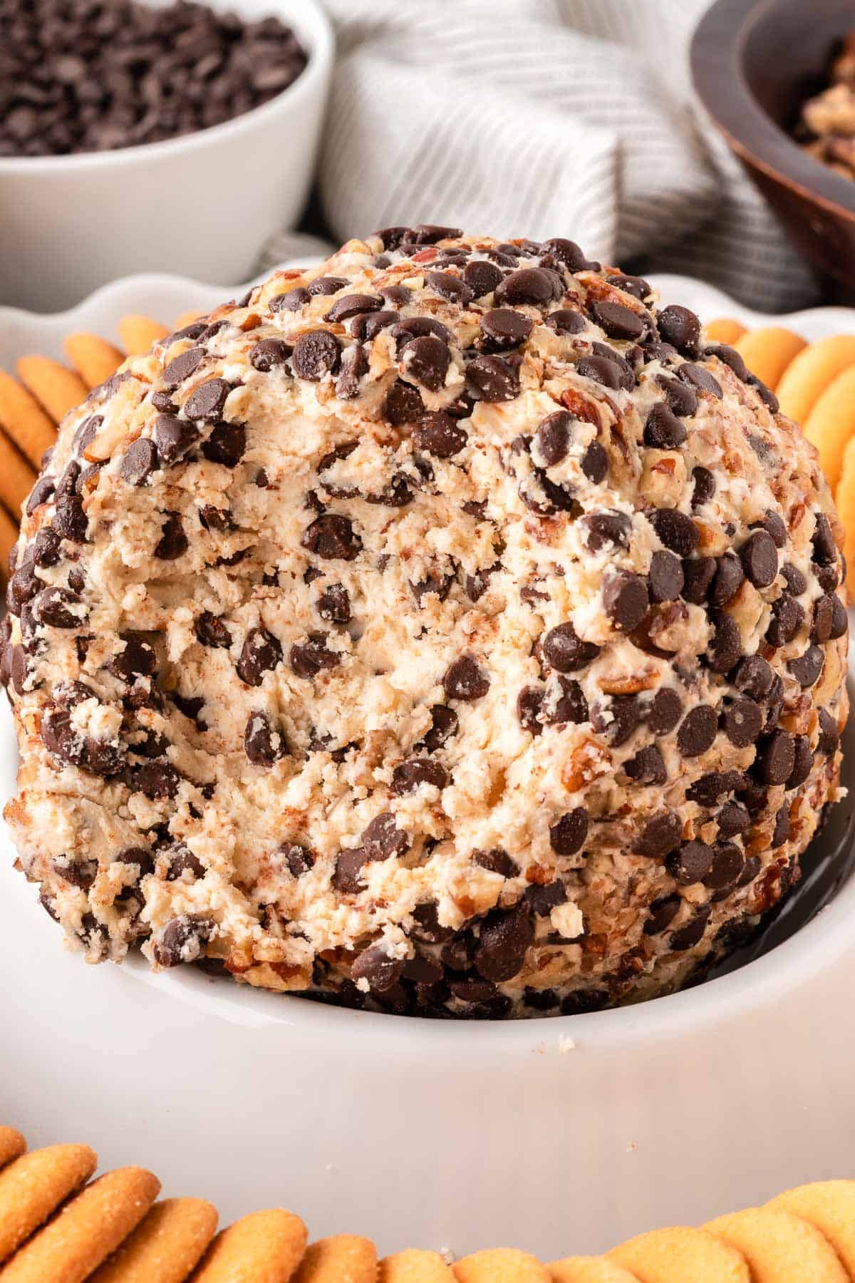 chocolate chip cheese ball with nilla wafers