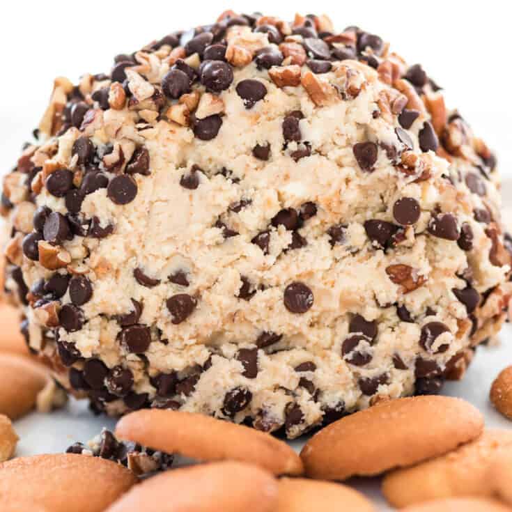 chocolate chip cheese ball with nilla wafers