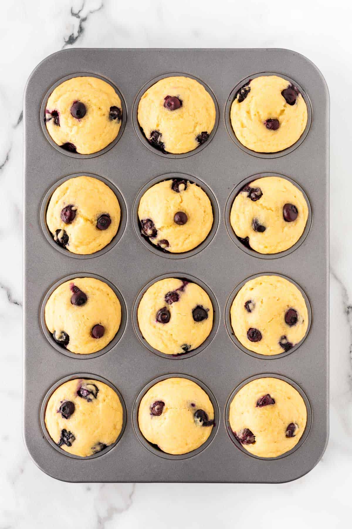 greek yogurt blueberry muffins in the pan