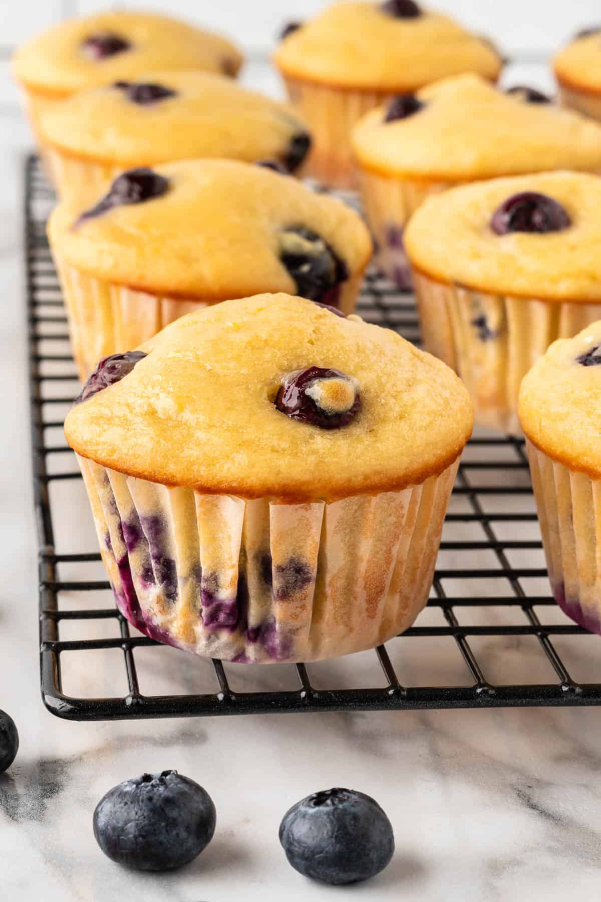 yogurt blueberry muffins on a cooling rack