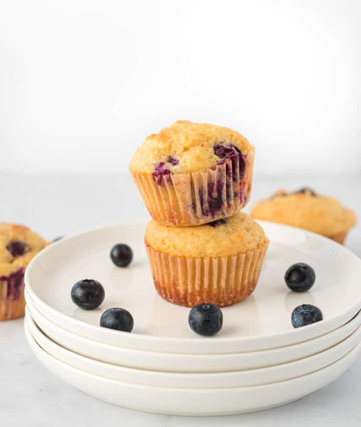 two blueberry muffins stacked on a stack of white plates surrounded by blueberries