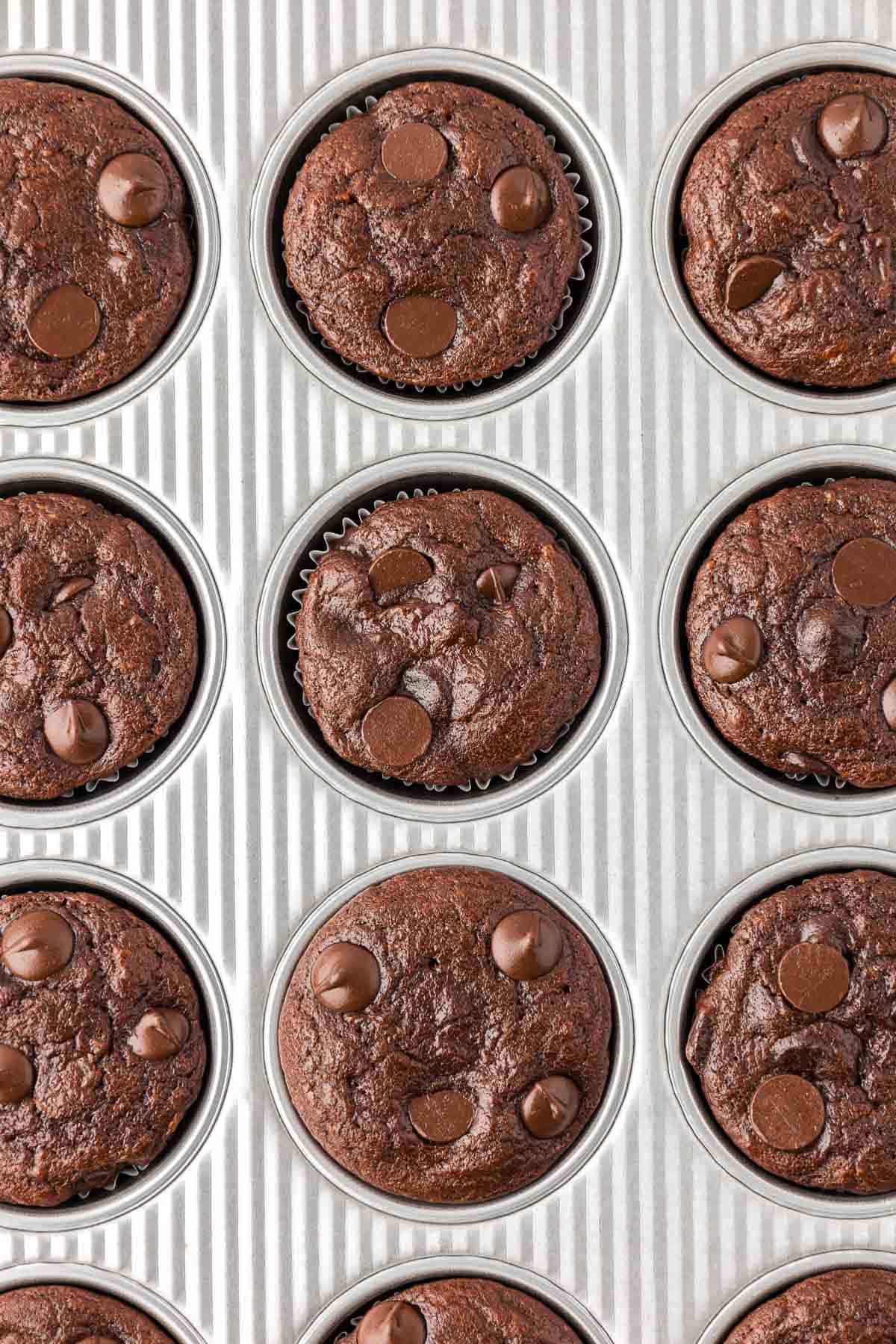 chocolate muffins in the a muffin tin
