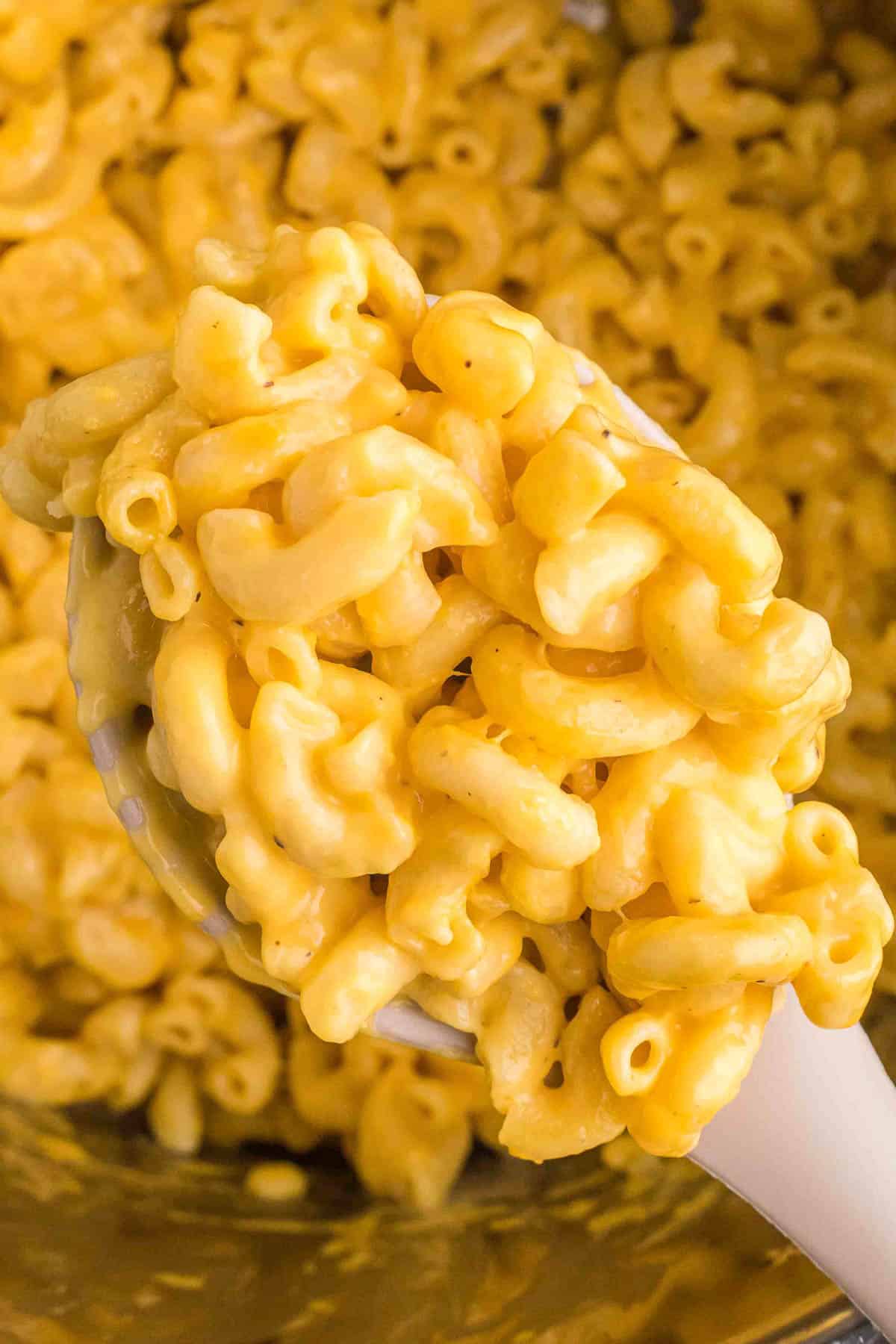 The best instant discount pot mac and cheese