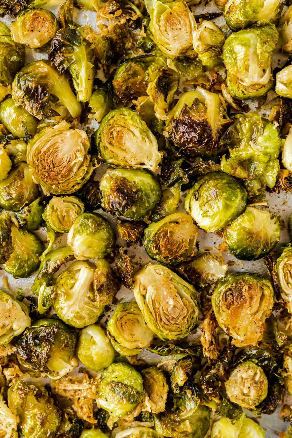 parmesan roasted brussels sprouts